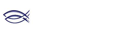 Komunitní studium Bible - Česká republika